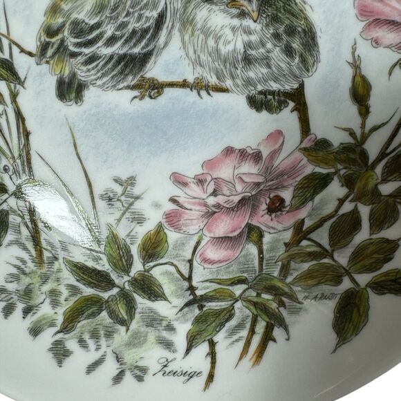 WAND-SCHMUCK-TELLER Porcelain Bird Roses Decorative Plate BAVARIA Vohenstrauss - Picture 3 of 6